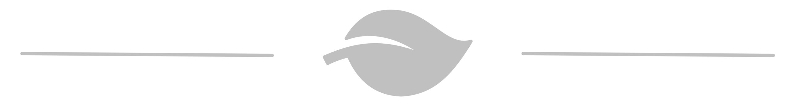 experience divider